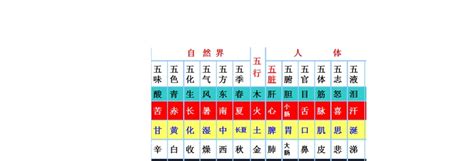 五行屬性 生日|八字五行查詢